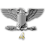 BF3 rank 49